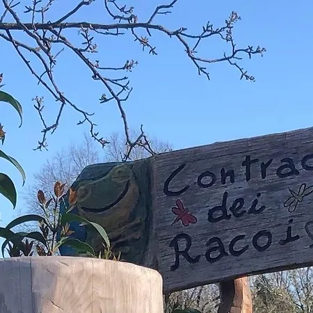 Tre Grazie - Dove La Bellezza Risveglia L'anima